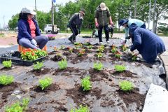 花植え作業に汗を流す「十勝港ソー乱舞」のメンバーら