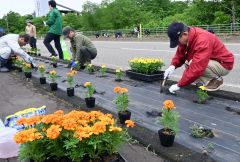 「ルート３３６花壇整備事業」でカラフルな花の苗を植え込む参加者ら