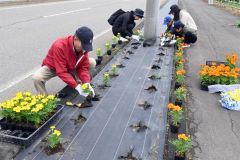 「ルート３３６花壇整備事業」でカラフルな花の苗を植え込む参加者ら