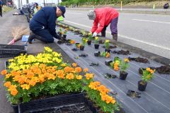 「ルート３３６花壇整備事業」でカラフルな花の苗を植え込む参加者ら