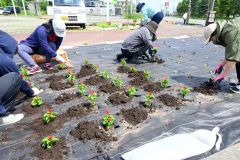 花植え作業に汗を流す「十勝港ソー乱舞のメンバーら