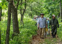 「太四郎の森」を散策する参加者ら