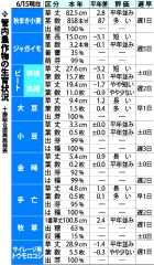 イモやや回復「遅５日」　１５日作況　小麦は「遅１日」