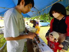 昆虫展示などのイベントが催され、多くの親子連れが訪れた感謝祭