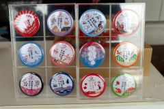 ガチャに入っている１２種類の缶バッジ