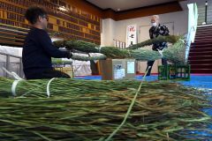 「茅の輪」作り（金野和彦撮影）
