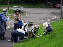 森林公園で花を観察する参加者たち