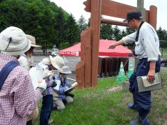 森林公園で花を観察する参加者たちと持田学芸員（右）