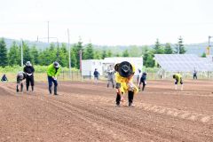 丁寧にコスモスの種をまく参加者ら