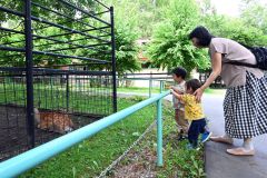動物を見て歓声を上げる子どもたち（２７日午前１０時半ごろ）