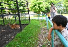 動物に見入る来場者