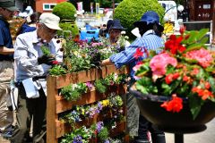 パレットに花苗を植え、パレットガーデンを作る会員と役場職員ら