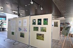 「阿寒富士西麓の森の貴重な自然」を写真資料で紹介　帯広百年記念館ロビー展２９日まで 3