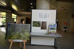 写真と図表など資料を組み合わせて森を語る展示