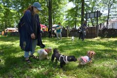 広々としたドッグランの中を駆け回る犬（２８日午前１０時半ごろ。芽室町内の新嵐山スカイパークで。金野和彦撮影）