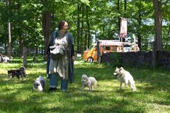 広々としたドッグランの中を駆け回る犬（２８日午前１０時４５分ごろ。芽室町内の新嵐山スカイパークで。金野和彦撮影）