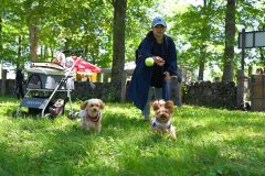 広々としたドッグランで愛犬も大満足　芽室の新嵐山で「ＷＡＮ　ＰＥＡＣＥ」開催
