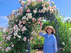 イングリッシュローズ咲き誇る　自慢の庭を一般公開　新得の佐久間さん