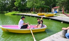 緑ケ丘公園のボート再開　水辺に笑顔 2