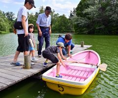 緑ケ丘公園のボート再開　水辺に笑顔 3