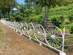 馬鍬の名残を感じさせる車輪の柵