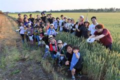 帯広の小麦畑で豊作祈願の「黄金穂」を収穫　夢降夜運営委