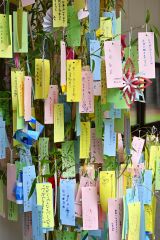 無病息災願い「茅の輪」くぐり 帯廣神社で夏詣始まる 6