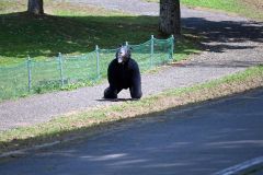 署員扮するヒグマ