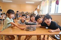 栄保育園に２代目のカブトムシ～こぼれ話