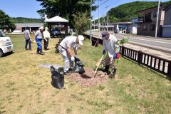 強い日差しの中、会員１１人が桜の植樹に汗を流した
