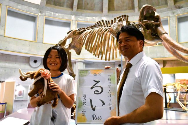 ナウマンゾウ縫いぐるみの愛称は「るい」　忠類小３年の小畑さん発案