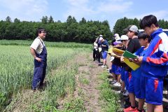 小麦畑の前で更別の農業について説明を受ける生徒たち。左が岡田代表