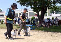 災害救助犬の訓練を木陰から見学する児童ら