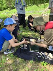 本別川で石集め　歴史民俗資料館