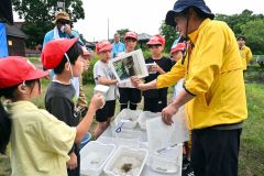 「発祥の地公園」の水辺に生息する魚などについて、十勝多自然ネットのメンバーから説明を受ける児童（金野和彦撮影）