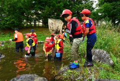 「発祥の地公園」の水辺に生息する魚などを捕獲して観察する子どもたち（金野和彦撮影）