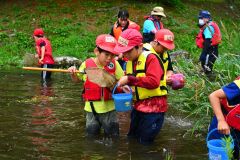 水辺に生息する魚などを捕獲して観察する子どもたち（金野和彦撮影）