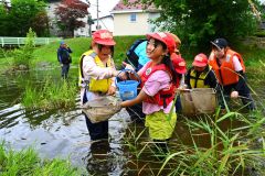「発祥の地公園」の水辺に生息する魚などを捕獲して観察する子どもたち（金野和彦撮影）