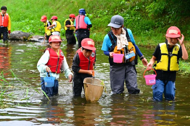 身近な水辺で魚捕りや自然観察　十勝多自然ネットと帯広東小