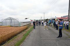 低空によるドローンのデモフライト。小麦の穂数を計測した。