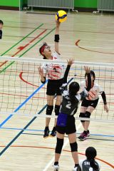下音更２年ぶりＶ　男子はＪＪＢ　バレー道スポーツ少年団大会十勝予選 13
