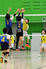 下音更２年ぶりＶ　男子はＪＪＢ　バレー道スポーツ少年団大会十勝予選 5