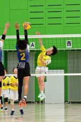 下音更２年ぶりＶ　男子はＪＪＢ　バレー道スポーツ少年団大会十勝予選 6