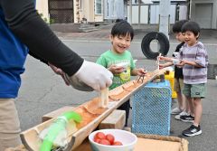 流しそうめんを楽しむ園児ら（今野和彦撮影）