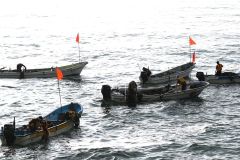 海中からコンブを引き上げる漁業者ら（１３日午前５時４５分ごろ、広尾町）