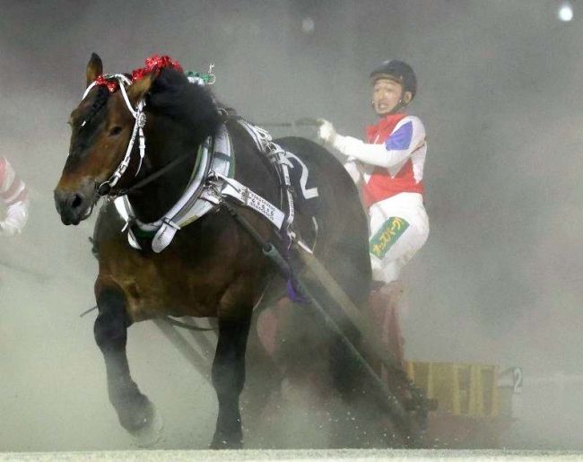 クリスタルコルドが旭川記念Ｖ　ばんえい十勝