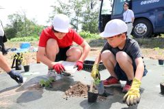 自分たちで育てた木の苗を札内川堤防に植える児童たち