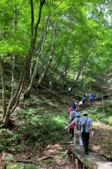 元気よく登山道を駆け上がり、夏山の森林浴を満喫した