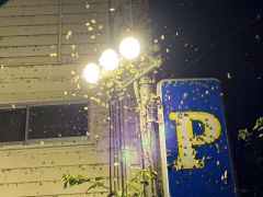 帯広市西１南８のパーキング付近の街灯に大量発生したマイマイガ（１９日午前０時ごろ）