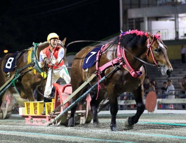 スターイチバン制覇　ばんえい大賞典